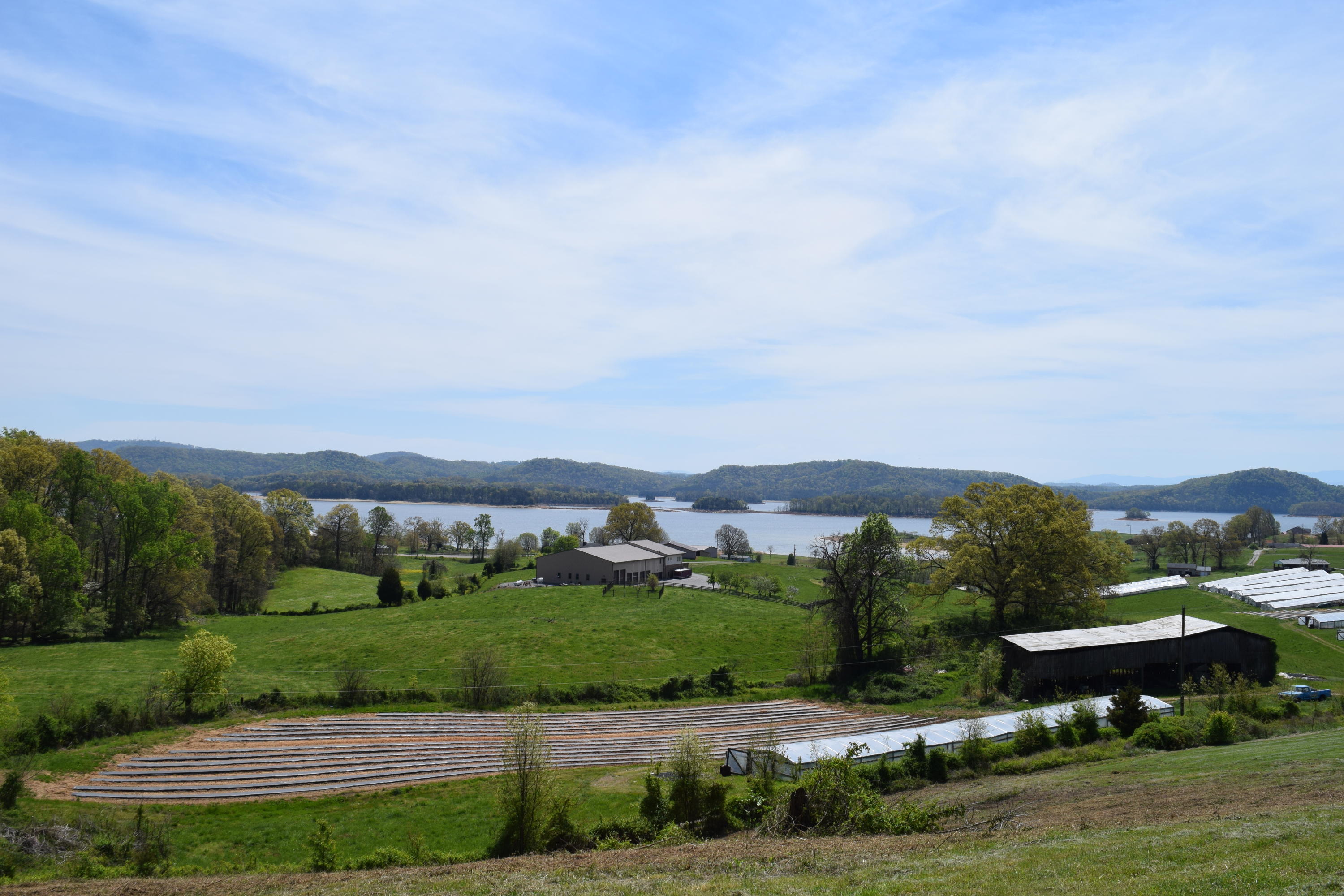 815 Harbin Road Rutledge, TN 37861 - Photo 14 of 25 815 Harbin Road Rutledge TN 37861 (14)