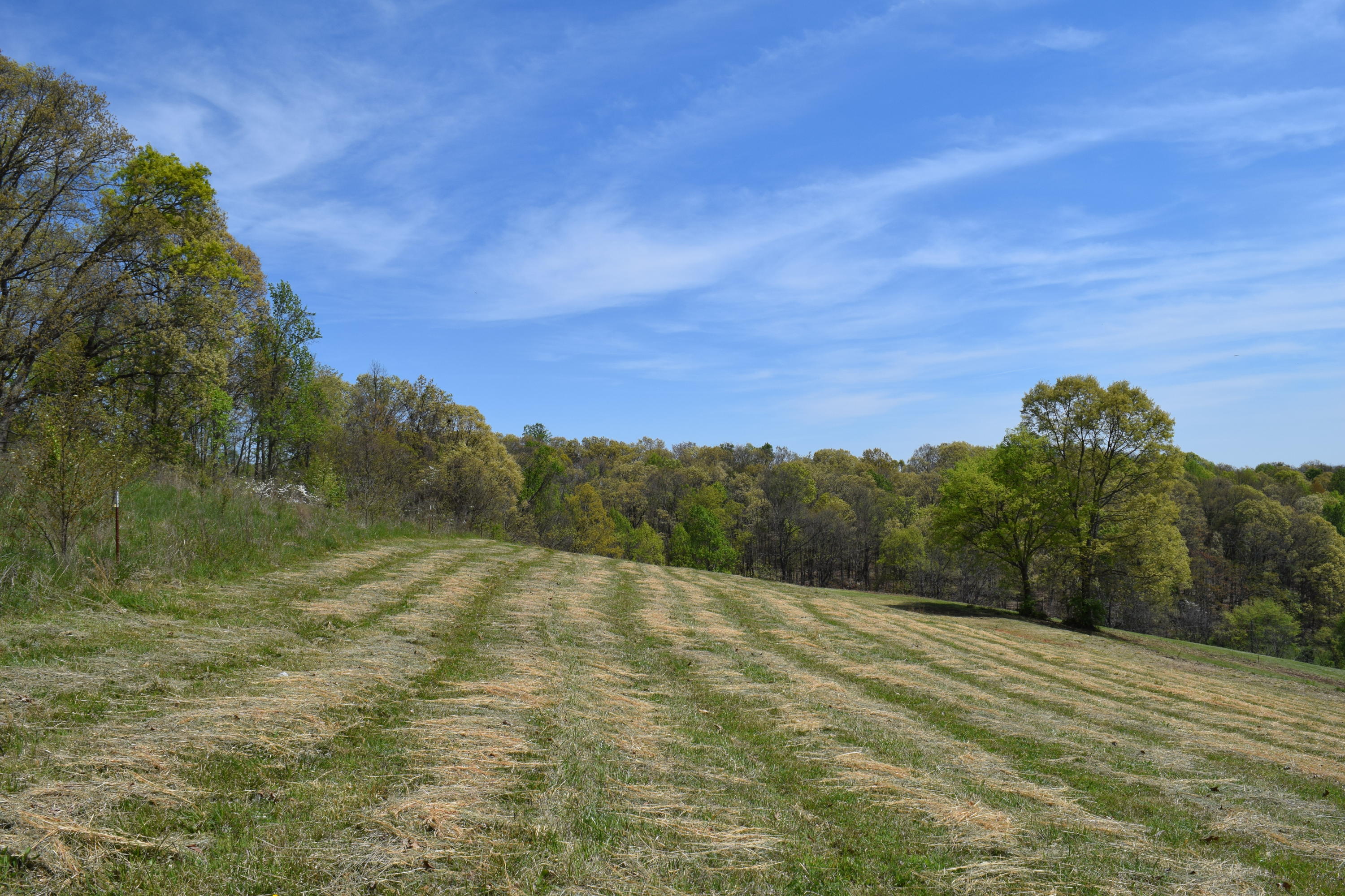 815 Harbin Road Rutledge, TN 37861 - Photo 3 of 25 815 Harbin Road Rutledge TN 37861 (3)