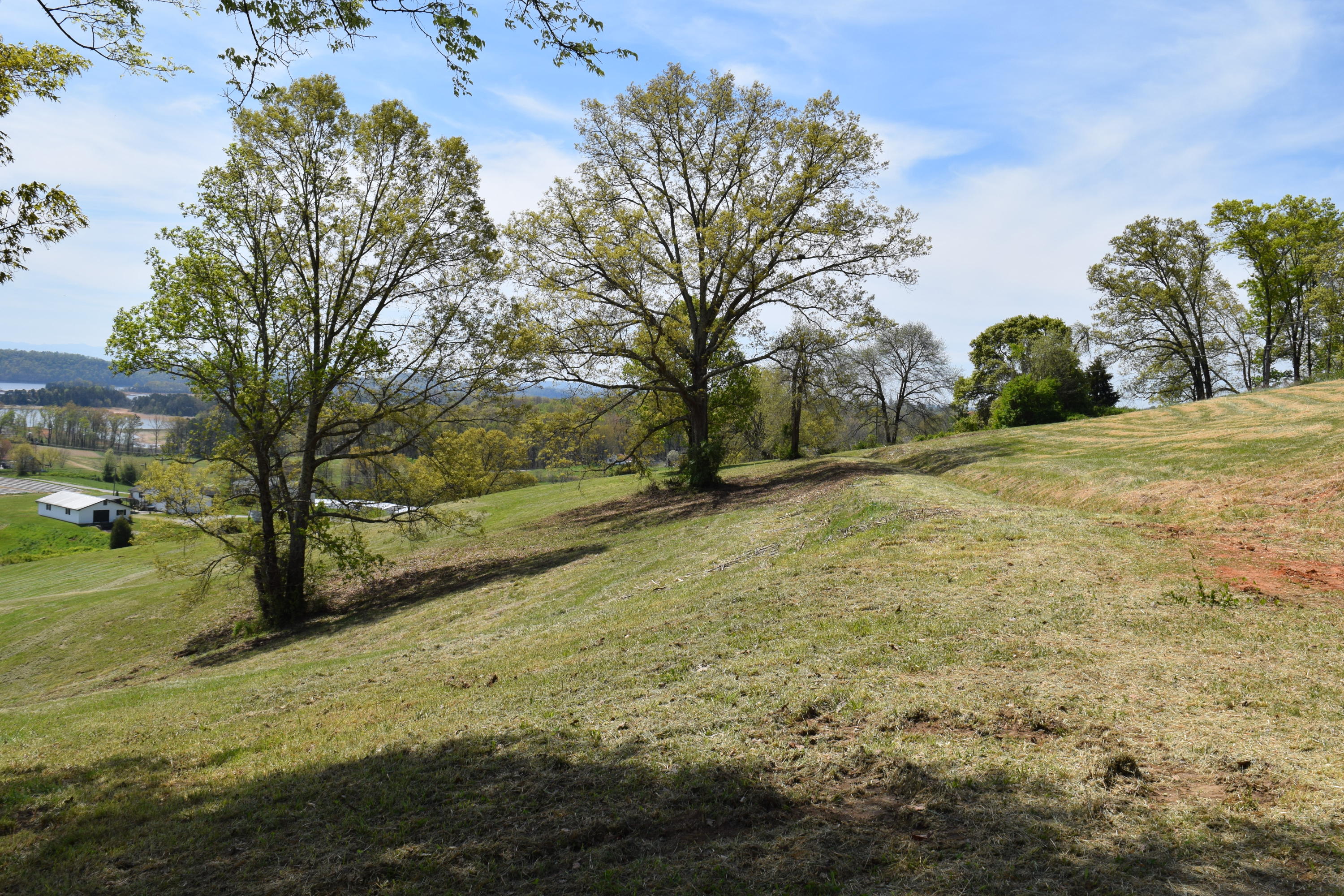 815 Harbin Road Rutledge, TN 37861 - Photo 22 of 25 815 Harbin Road Rutledge TN 37861 (22)