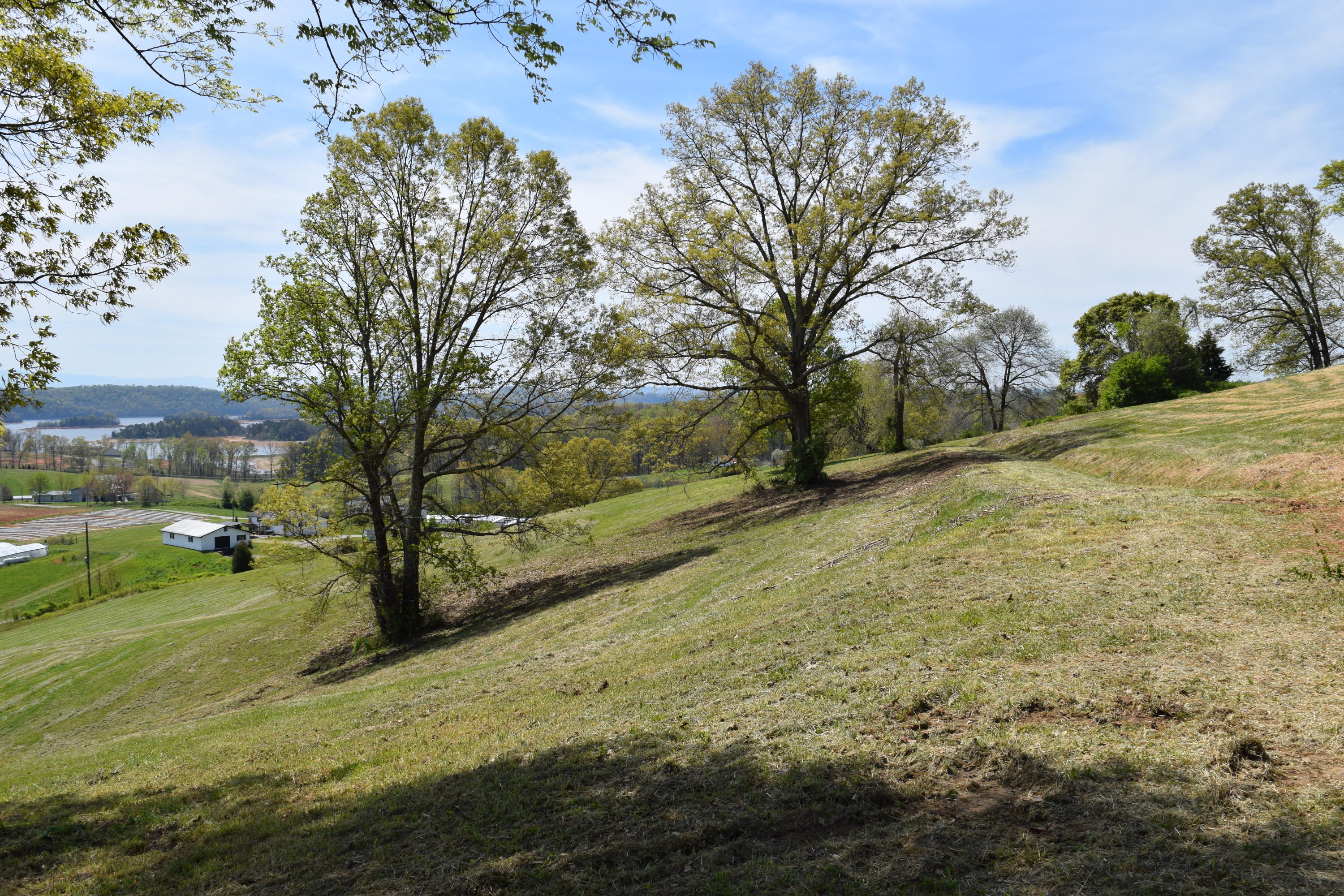 815 Harbin Road Rutledge, TN 37861 - Photo 23 of 25 815 Harbin Road Rutledge TN 37861 (23)