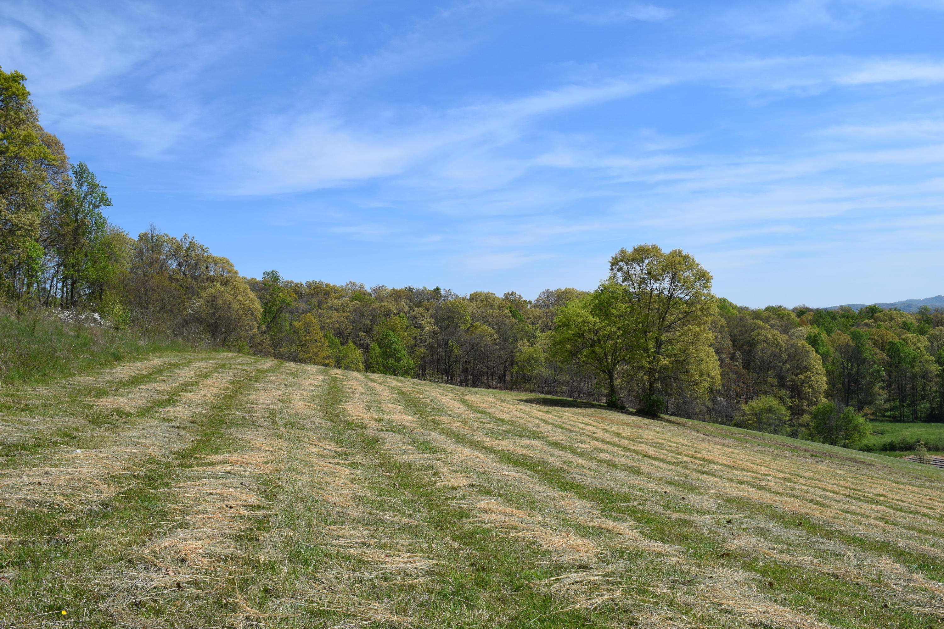 815 Harbin Road Rutledge, TN 37861 - Photo 4 of 25 815 Harbin Road Rutledge TN 37861 (4)