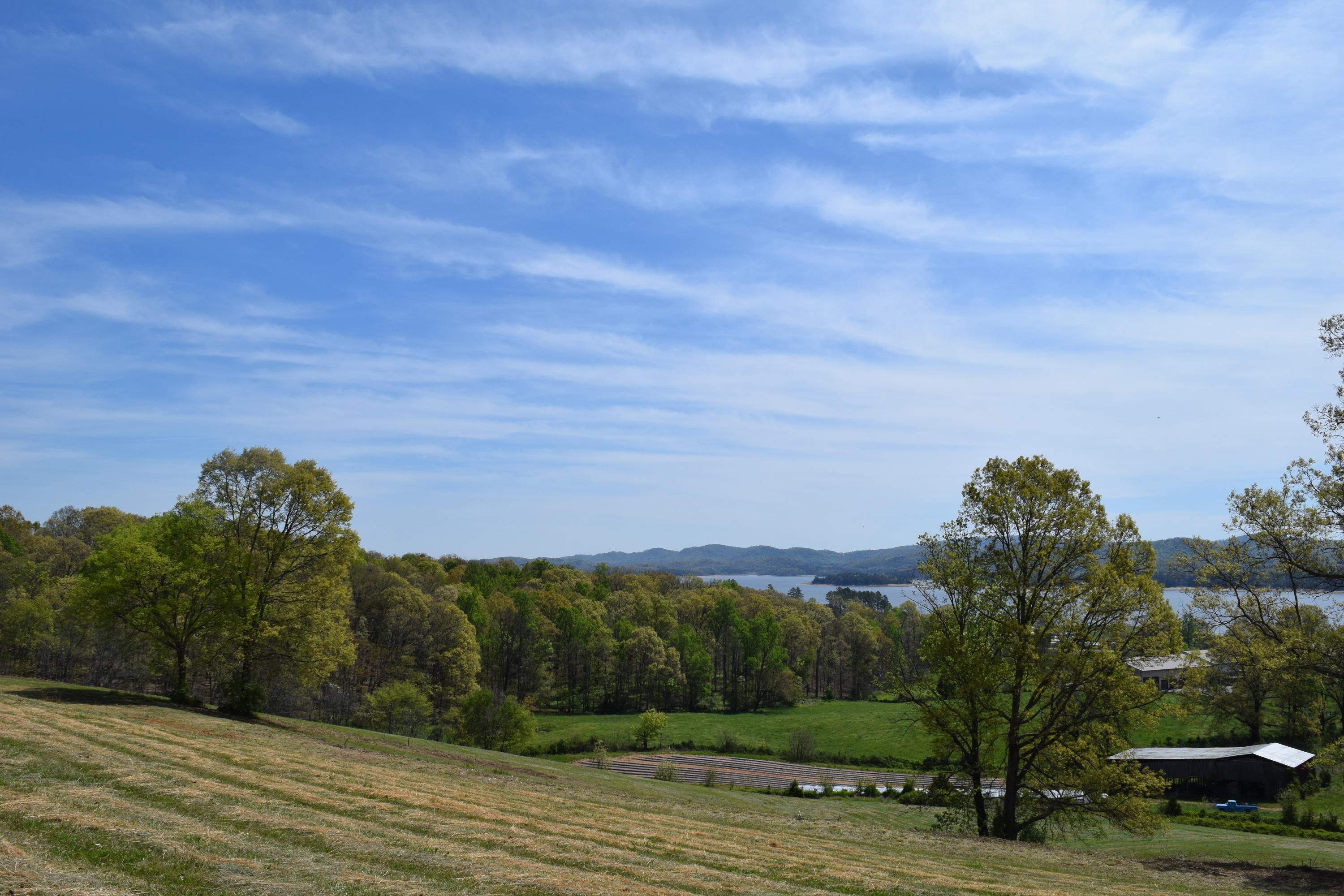 815 Harbin Road Rutledge, TN 37861 - Photo 5 of 25 815 Harbin Road Rutledge TN 37861 (5)