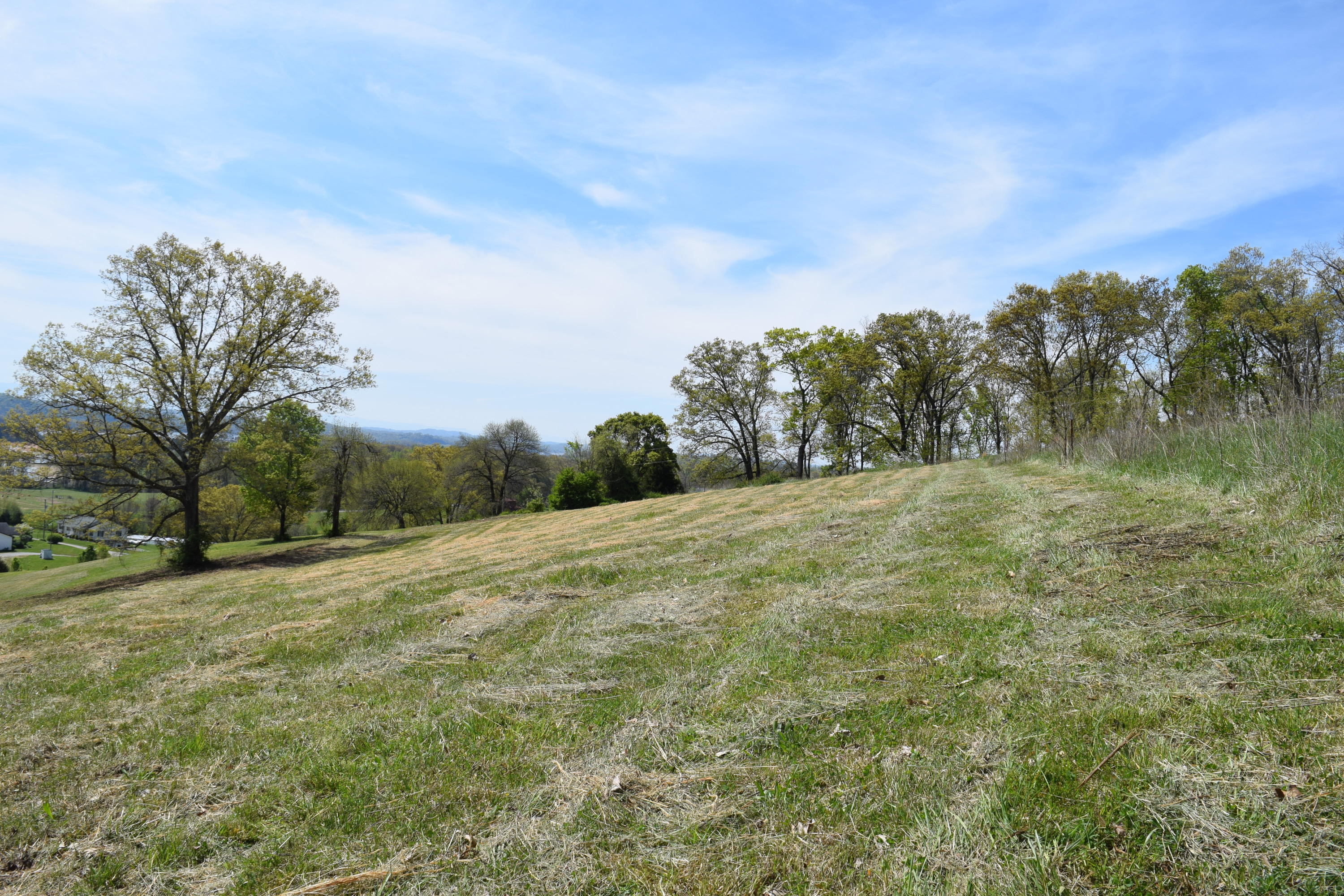 815 Harbin Road Rutledge, TN 37861 - Photo 7 of 25 815 Harbin Road Rutledge TN 37861 (7)