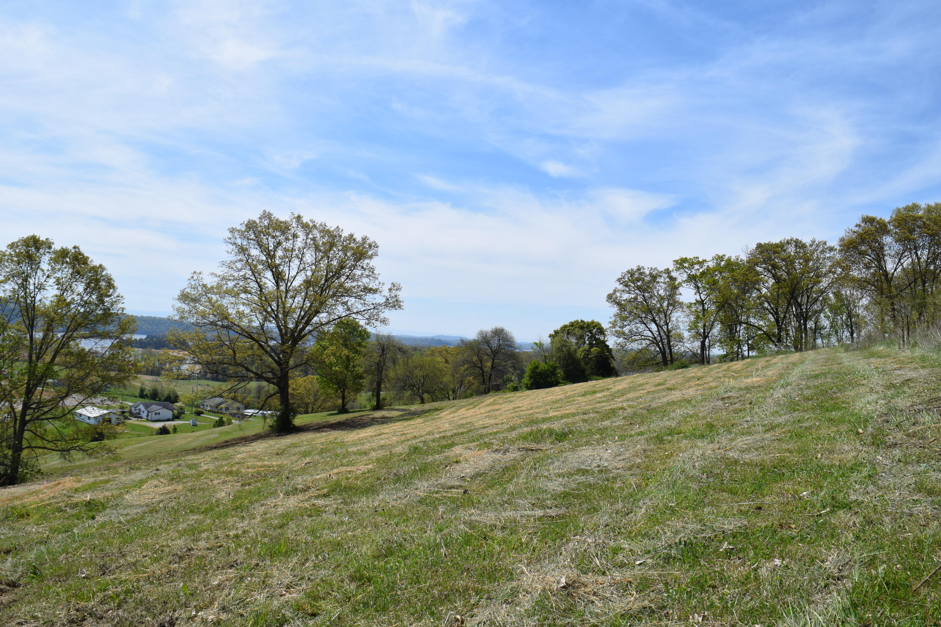 815 Harbin Road Rutledge, TN 37861 - Photo 8 of 25 815 Harbin Road Rutledge TN 37861 (8)