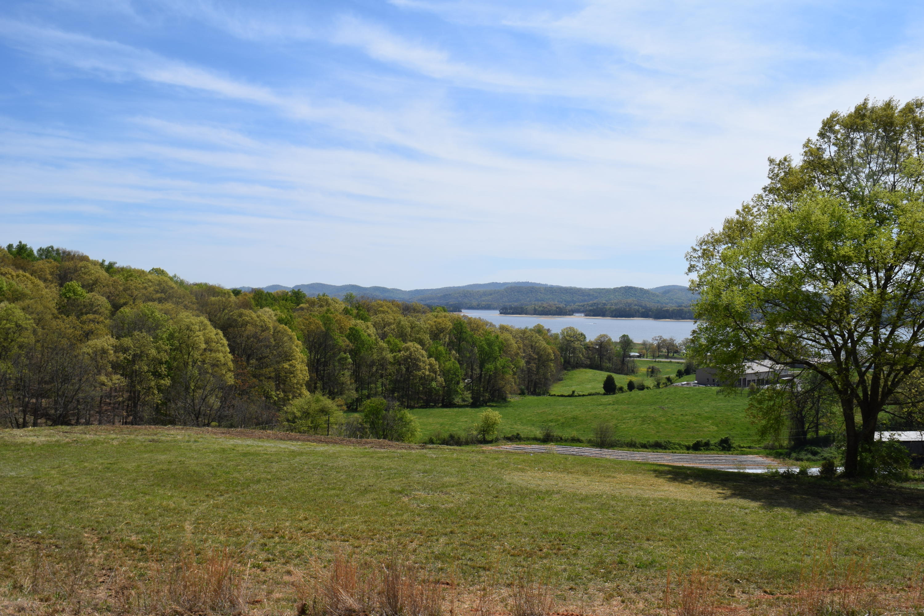 815 Harbin Road Rutledge, TN 37861 - Photo 9 of 25 815 Harbin Road Rutledge TN 37861 (9)