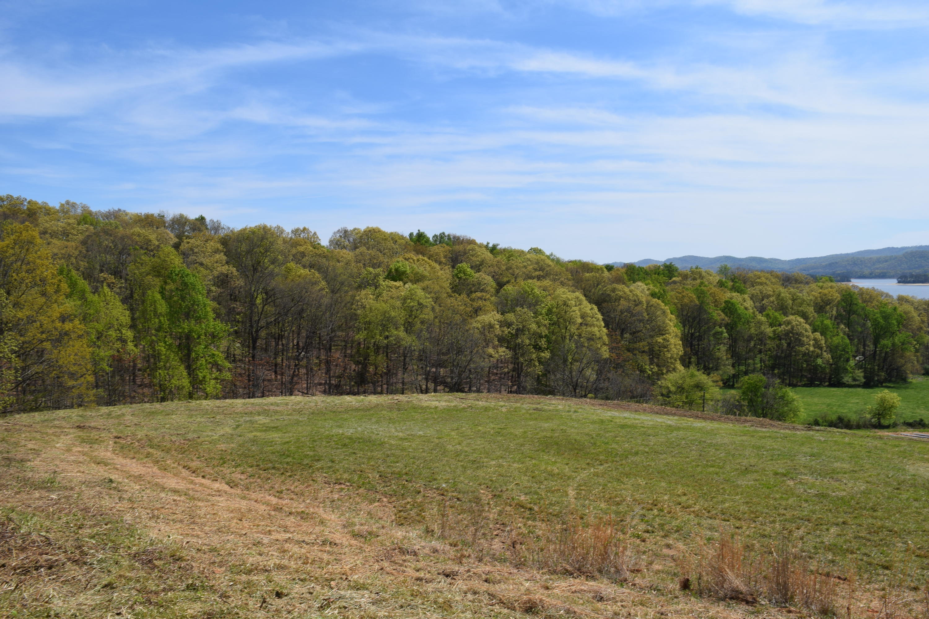 815 Harbin Road Rutledge, TN 37861 - Photo 10 of 25 815 Harbin Road Rutledge TN 37861 (10)