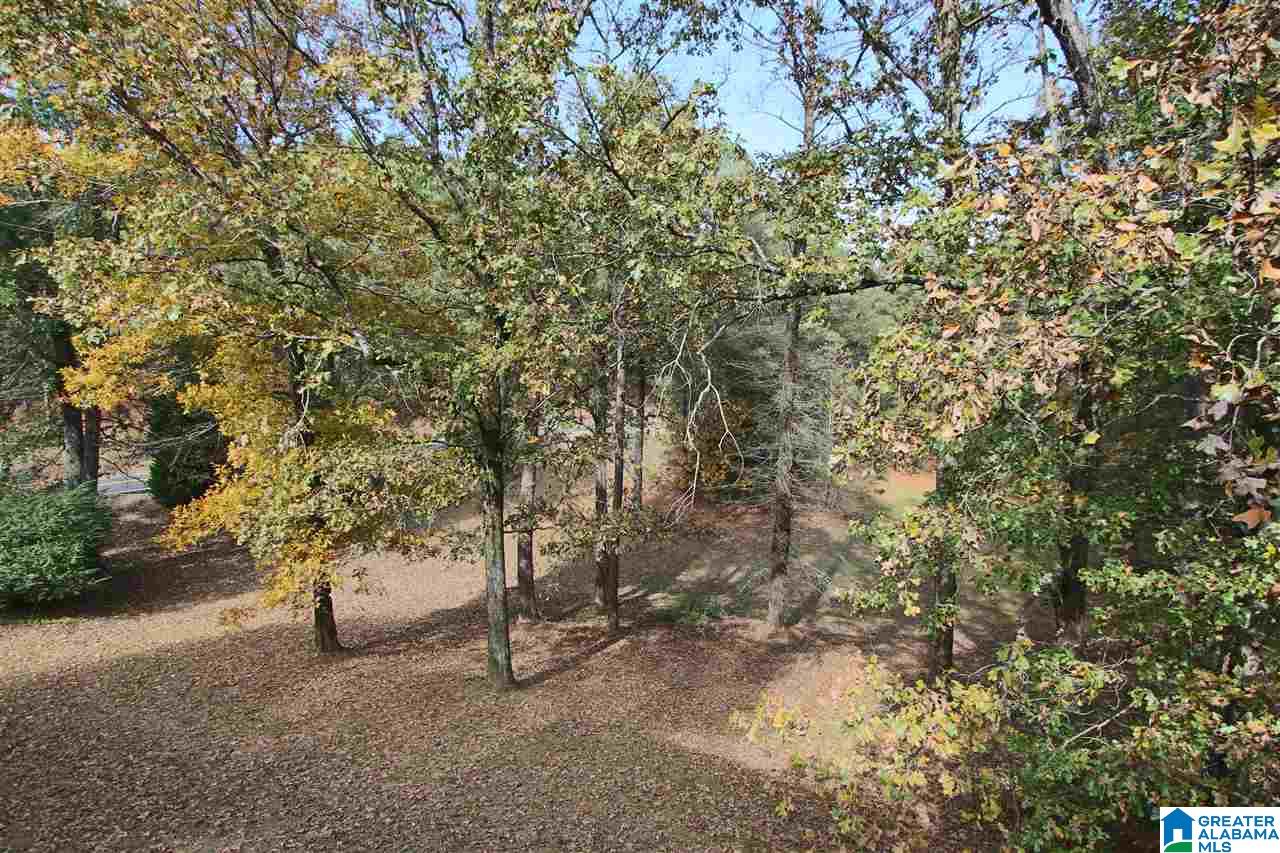 2990 Lindsey Loop Road Bessemer, AL 35022 - Photo 37 of 40