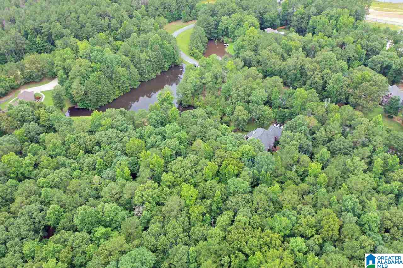 212 Cahaba Lake Circle Helena, AL 35080 - Photo 8 of 47