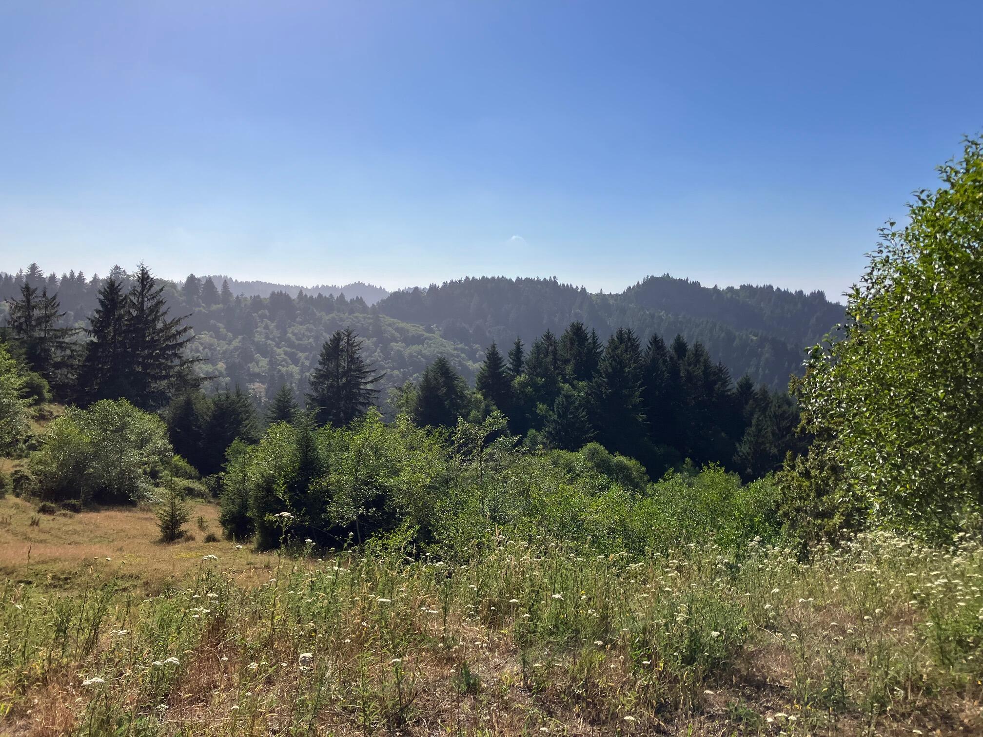 0 Mattole Road Ferndale, CA 95536 - Photo 7 of 10