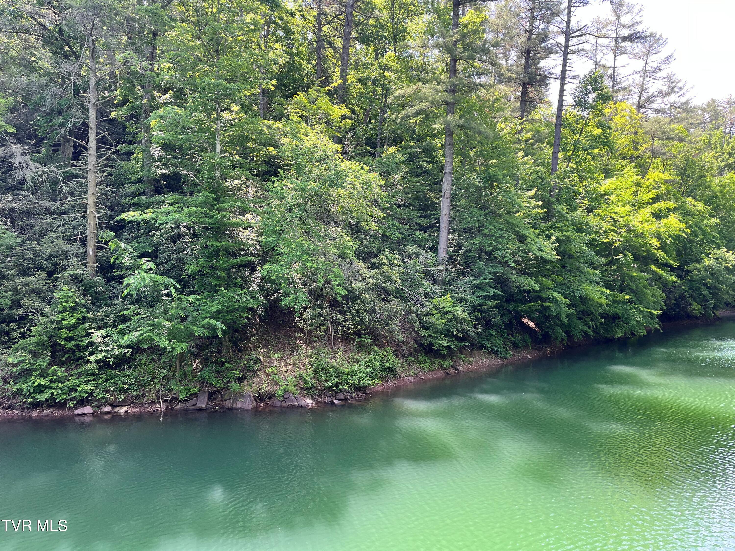 Tr1 Smith Hollow Road, Unit 1 3 3A 4 Butler, TN 37640 - Photo 3 of 37 jh24