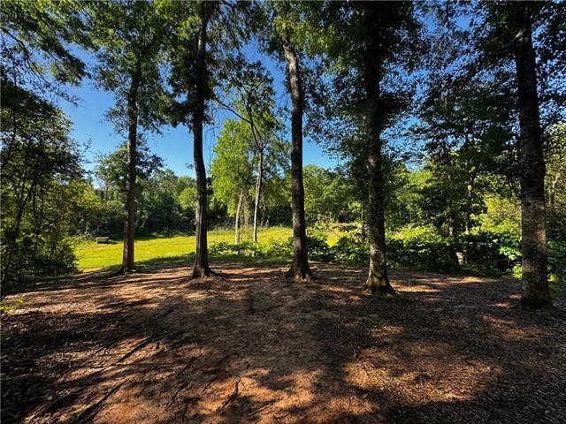 31301 Holmesville Road Mount Hermon, LA 70450 - Photo 17 of 29