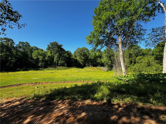 31301 Holmesville Road Mount Hermon, LA 70450 - Photo 19 of 29
