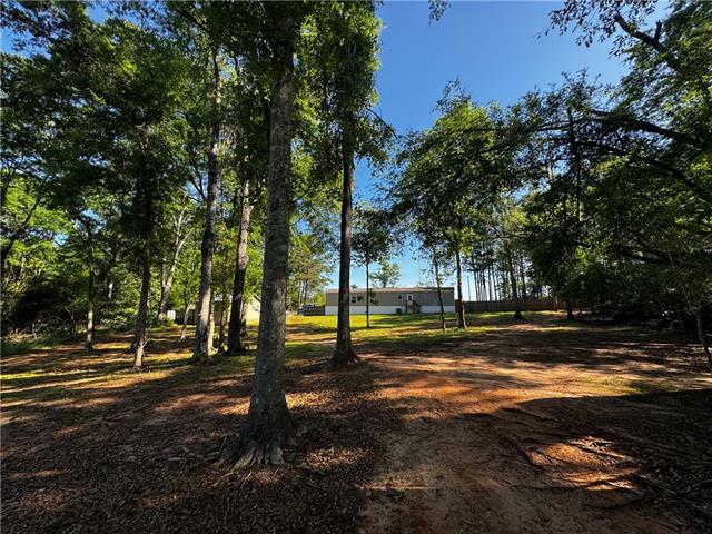 31301 Holmesville Road Mount Hermon, LA 70450 - Photo 20 of 29