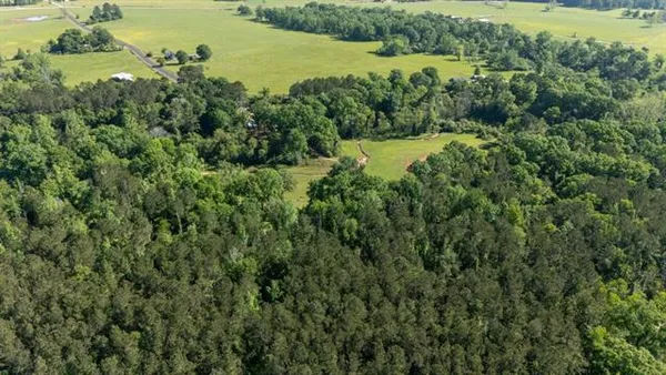 $289,000 | 31301 Holmesville Road, Mount Hermon, LA 70450