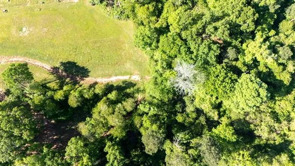 $289,000 | 31301 Holmesville Road, Mount Hermon, LA 70450