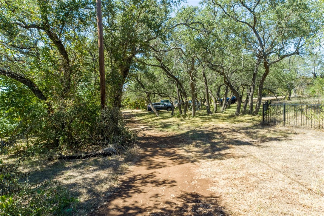 8701 Highway 290 Austin, TX 78737 - Photo 34 of 40 a view of a yard with a tree