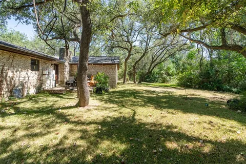 a view of a yard with plants and large trees