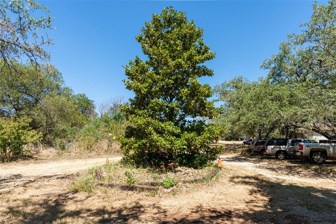 8701 Highway 290 Austin, TX 78737 - Photo 7 of 40 a view of a yard with yellow house