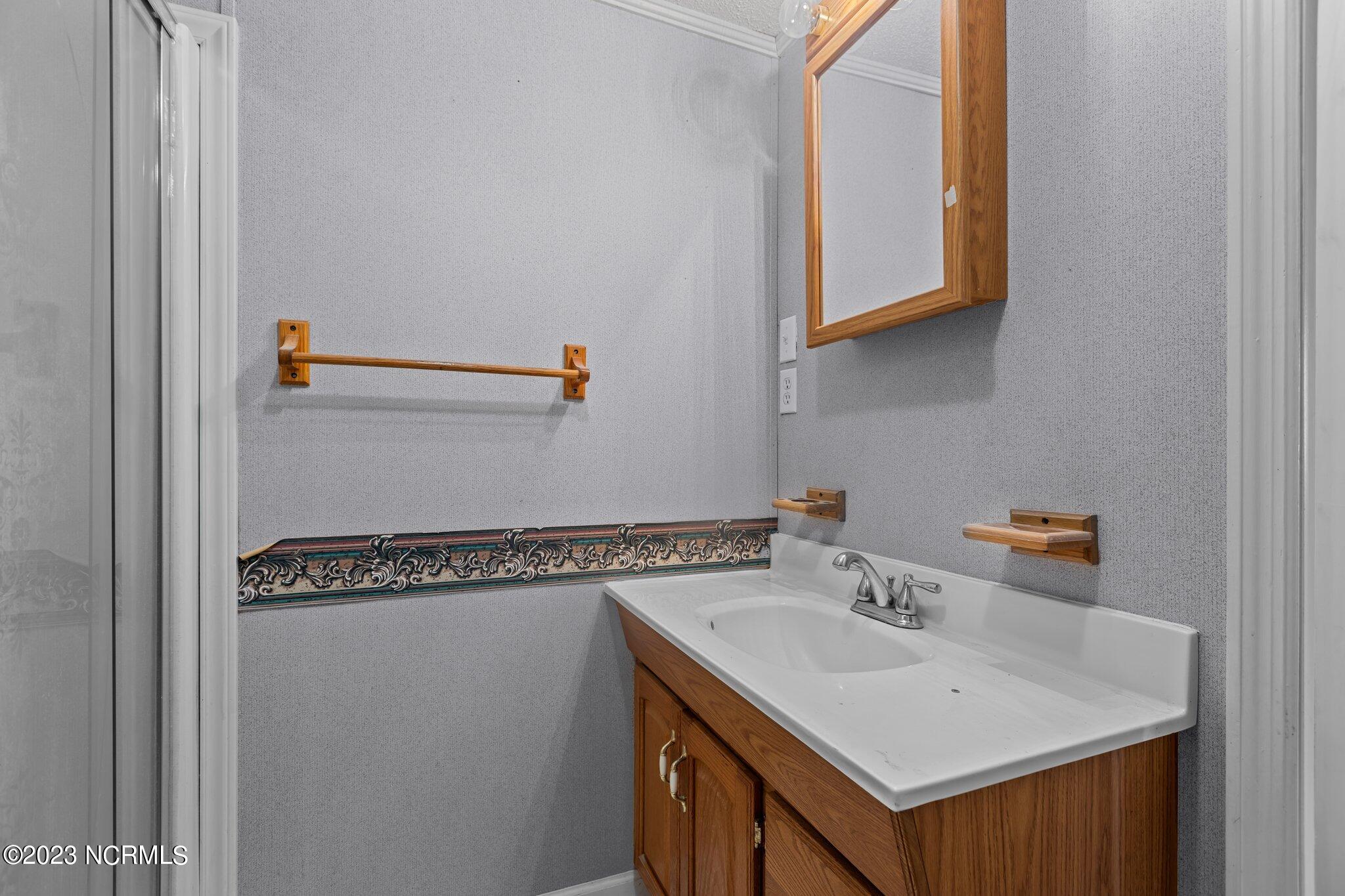 253 Hodges Road Chocowinity, NC 27817 - Photo 18 of 48 Primary Bath