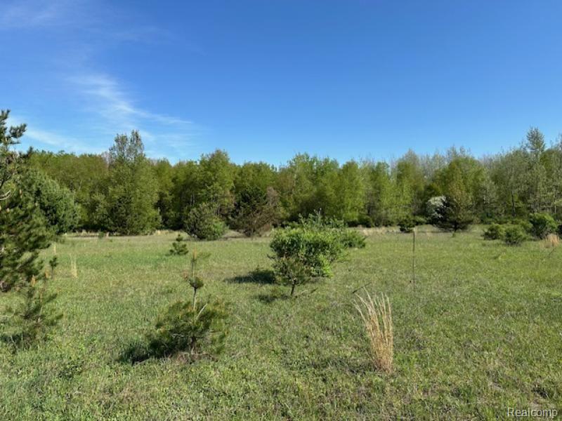 -parcel B Ambrose Road Mayville, MI 48744 - Photo 12 of 18 Gallery Image 12