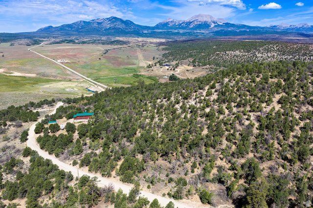75 Wray Mesa Road La Sal, UT 84530 - Photo 5 of 59 Expansive property featuring a winding driveway, natural tree coverage, and a distant mountain backdrop