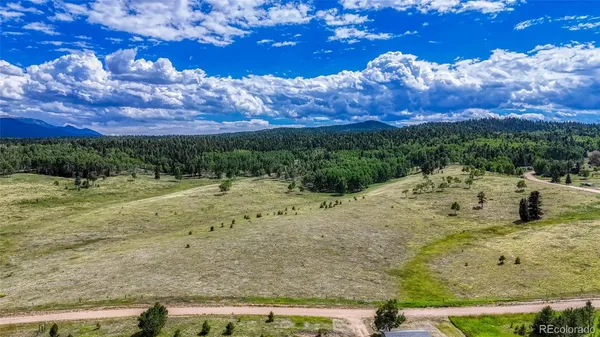 $19,500 | 1129 Will Scarlet Drive, Divide, CO 80814
