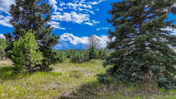 a view of a house with a big yard
