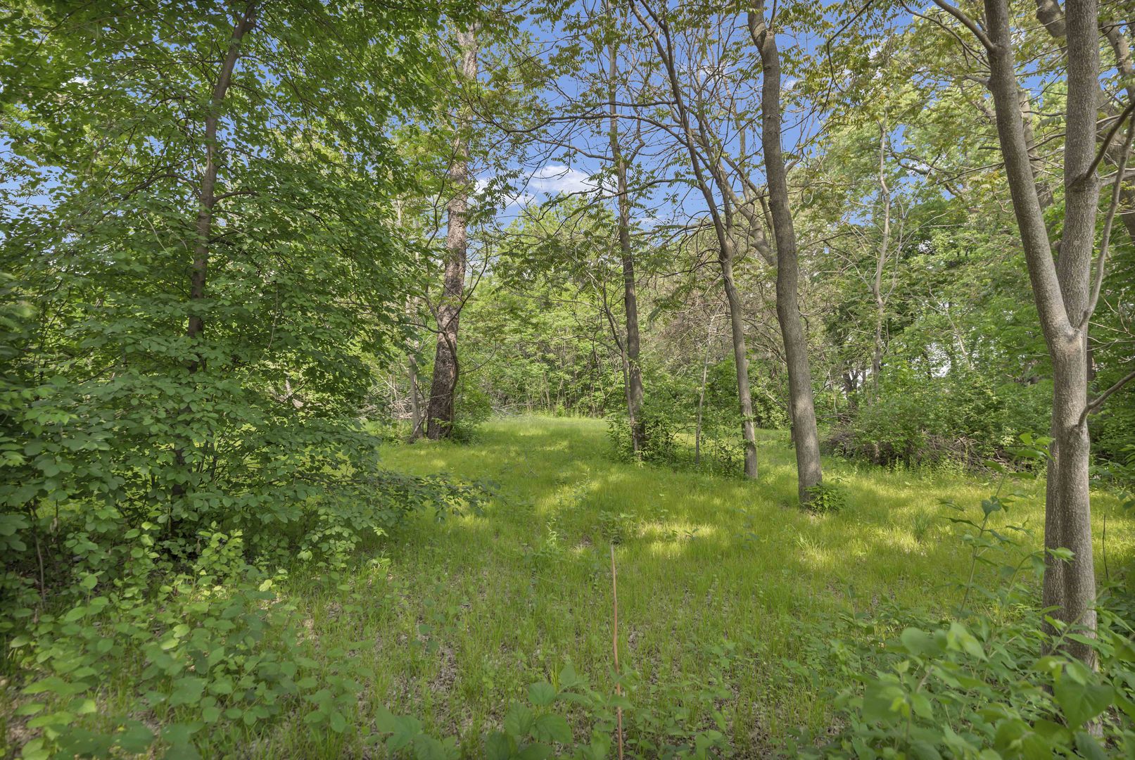 2623 Essington Road Joliet, IL 60435 - Photo 4 of 14