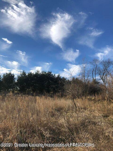 0 Wright Road Leslie, MI 49251 - Photo 35 of 41 35