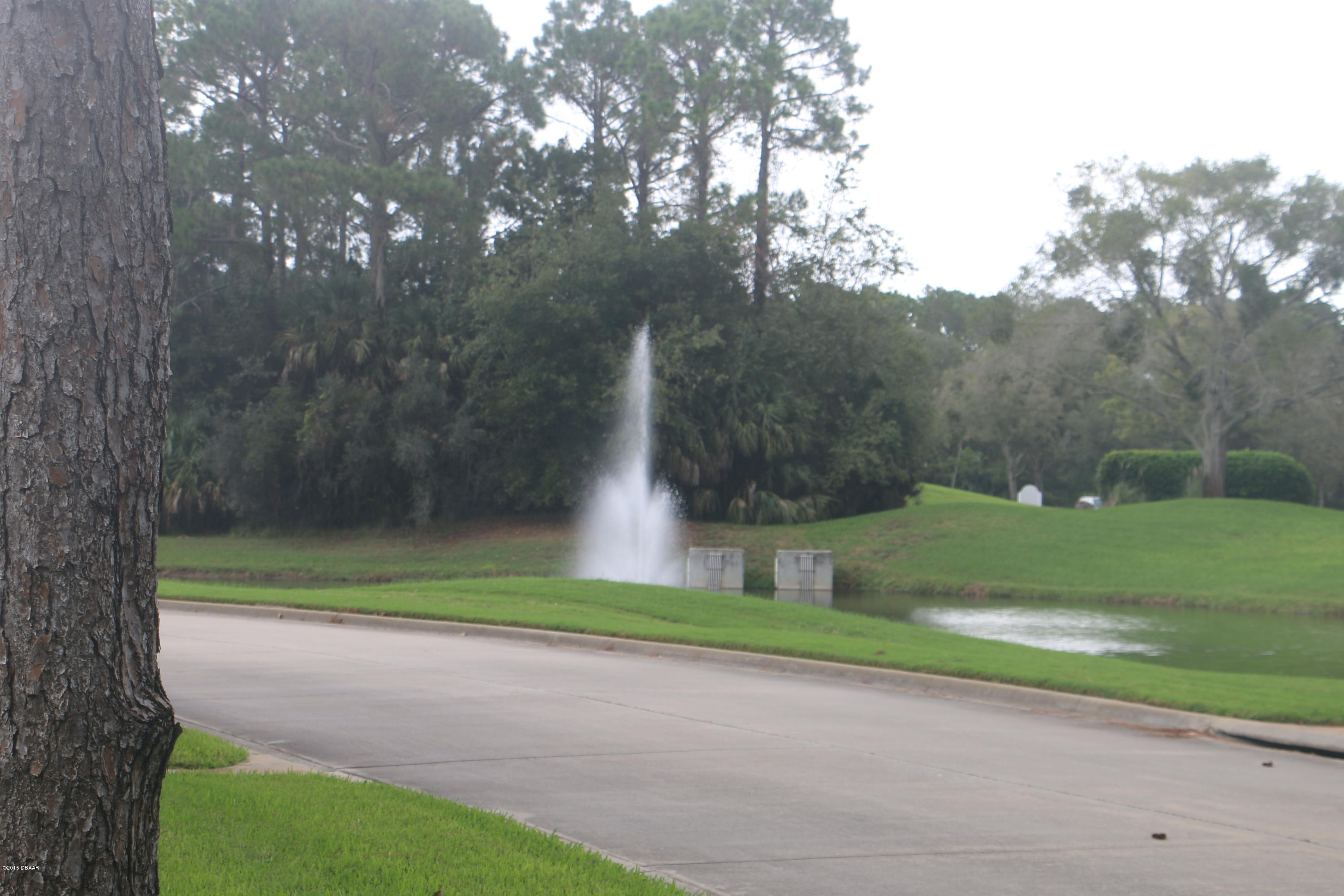 21 Jasmine Run Ormond Beach, FL 32174 - Photo 17 of 18 IMG_1943