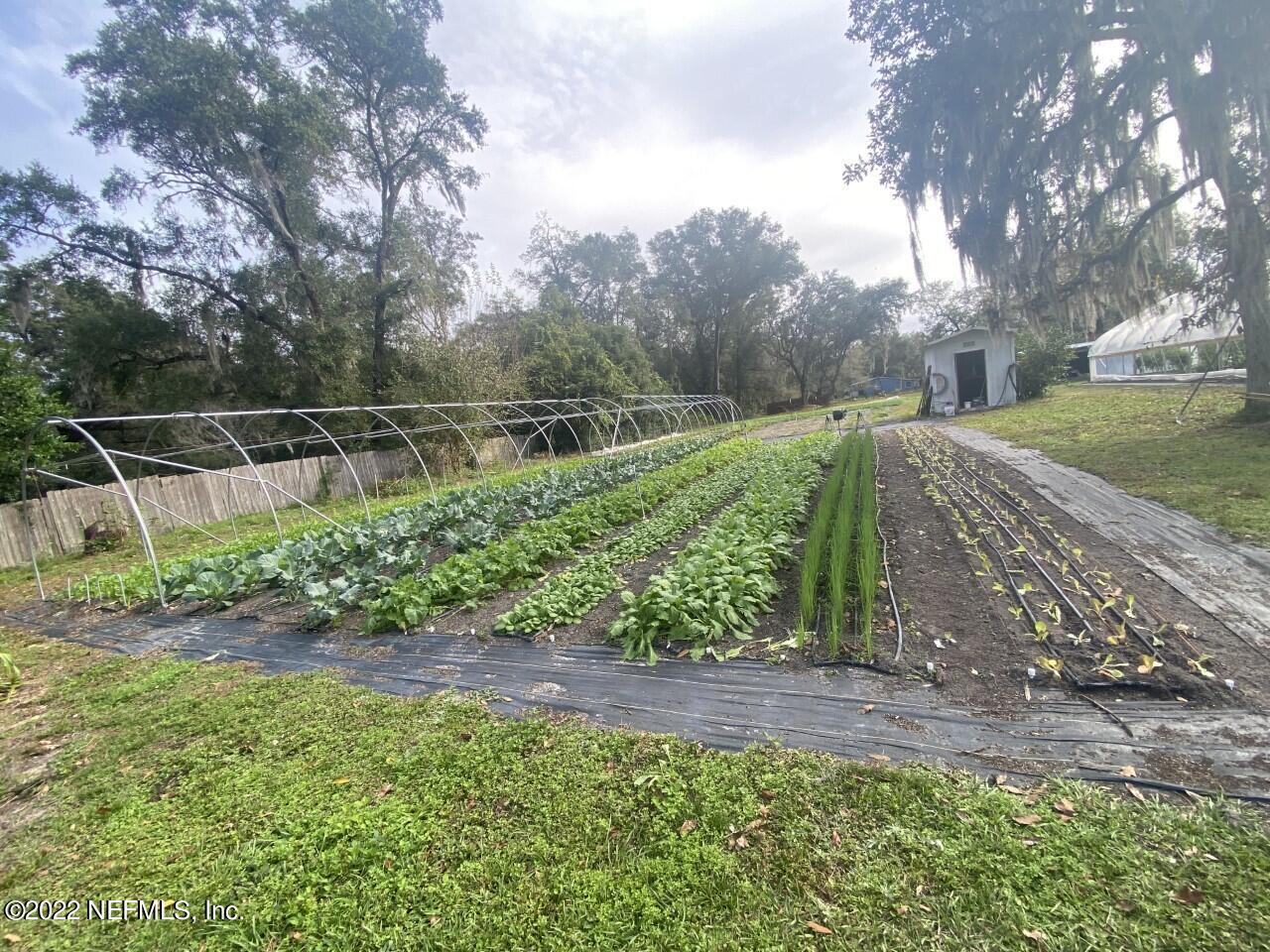 4331 North Road Green Cove Springs, FL 32043 - Photo 3 of 19 Garden 2