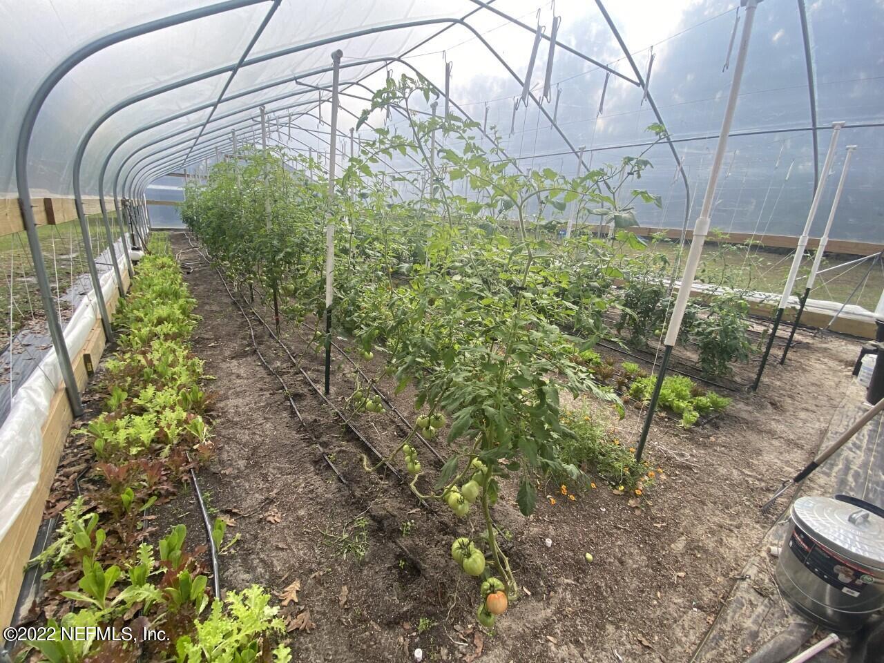 4331 North Road Green Cove Springs, FL 32043 - Photo 8 of 19 Greenhouse 4