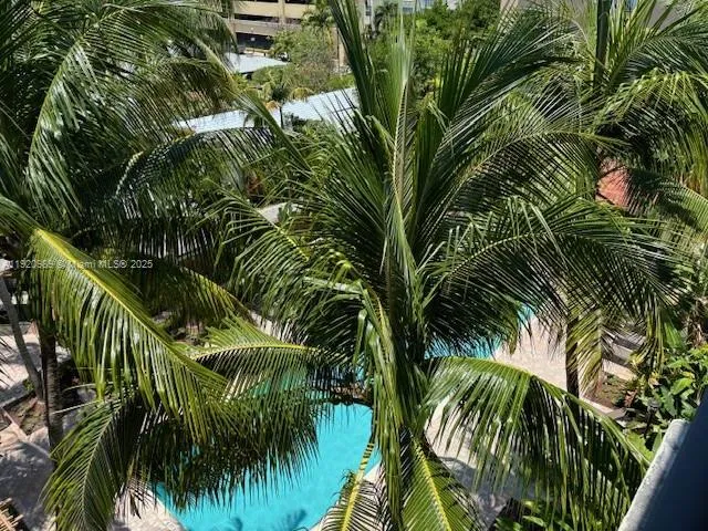 a view of a palm plant that is in front of a house