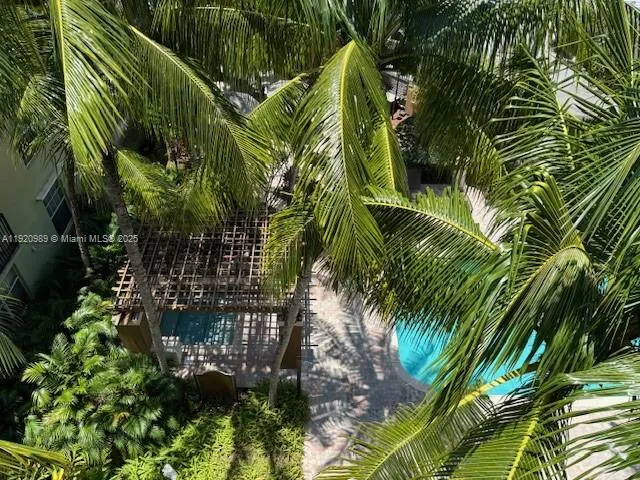 a view of banana tree