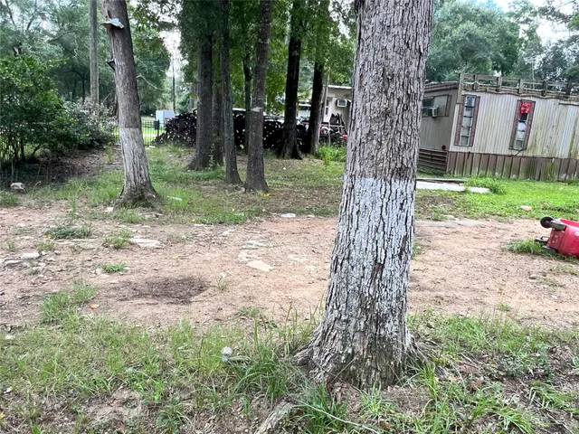 a view of a tree in a yard with a tree