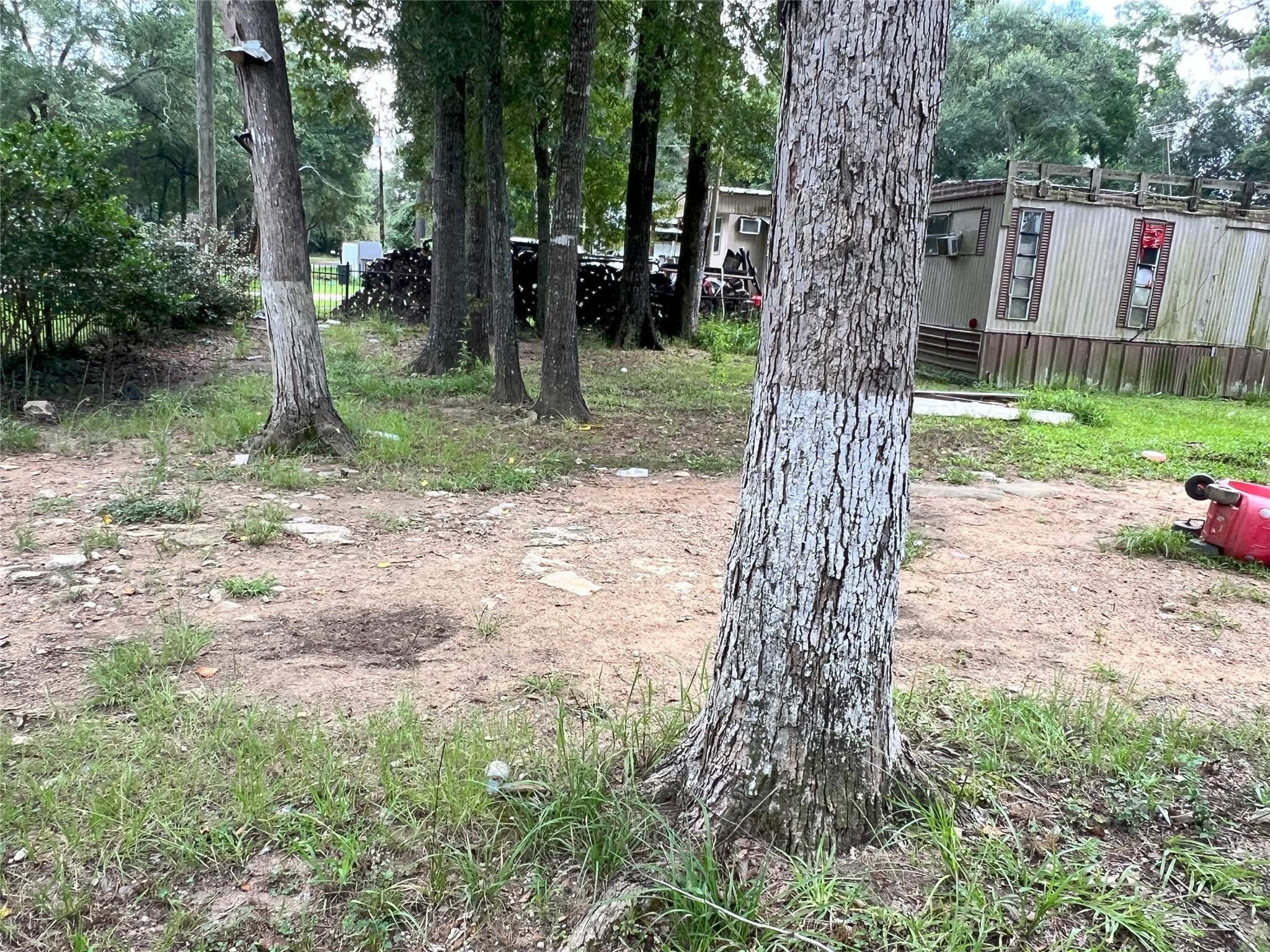 13156 12th Street Splendora, TX 77372 - Photo 2 of 5 a view of a tree in a yard with a tree