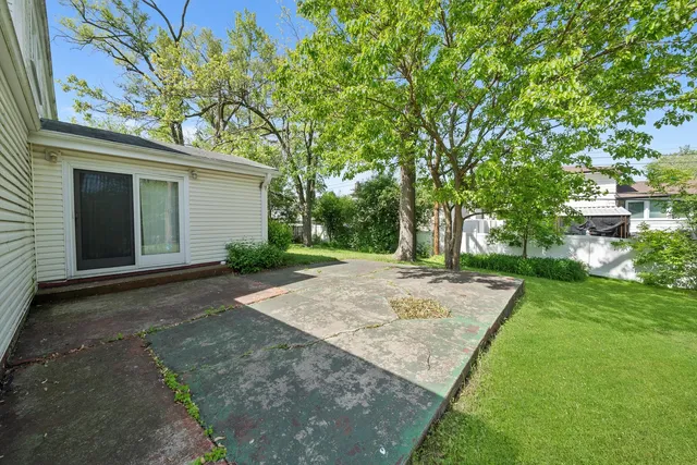 a view of a backyard with a tree