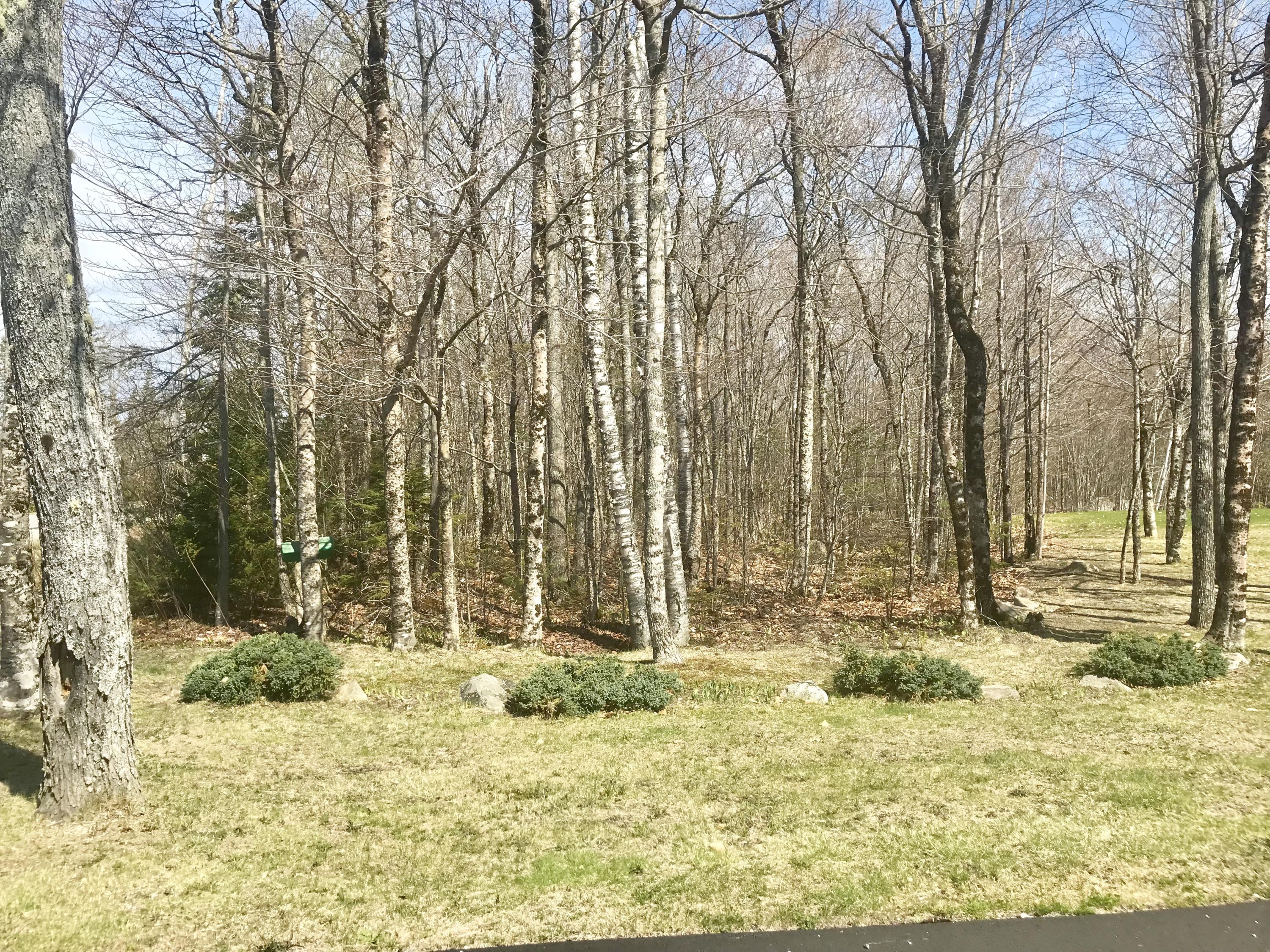 1465 Bucksmills Road Bucksport, ME 04416 - Photo 20 of 22 334C5DC5-6115-4C06-B0E0-0C048F407BAE