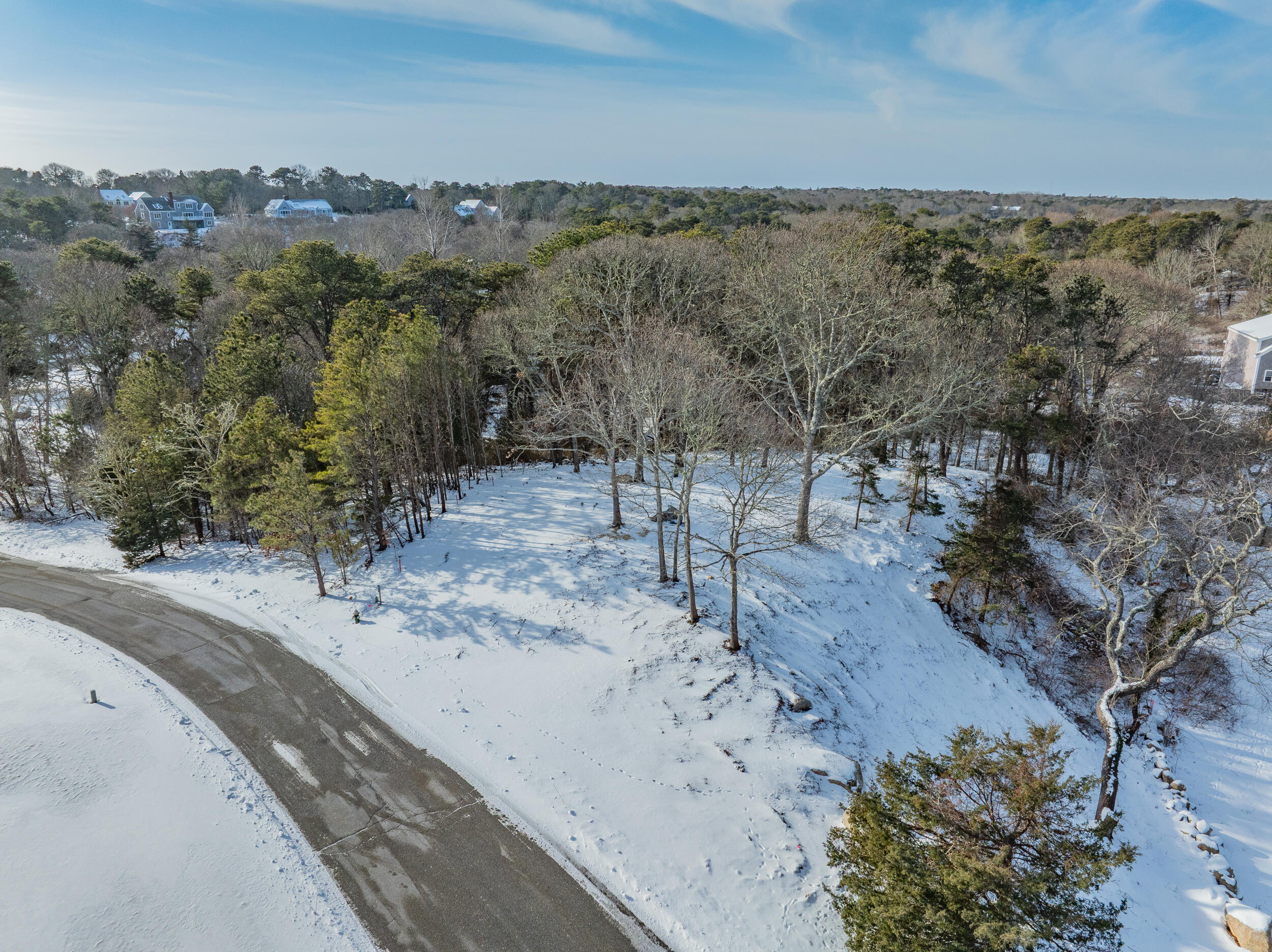 0 Ridgewood Drive Brewster, MA 02631 - Photo 8 of 39 a view of a dry yard with trees in the background