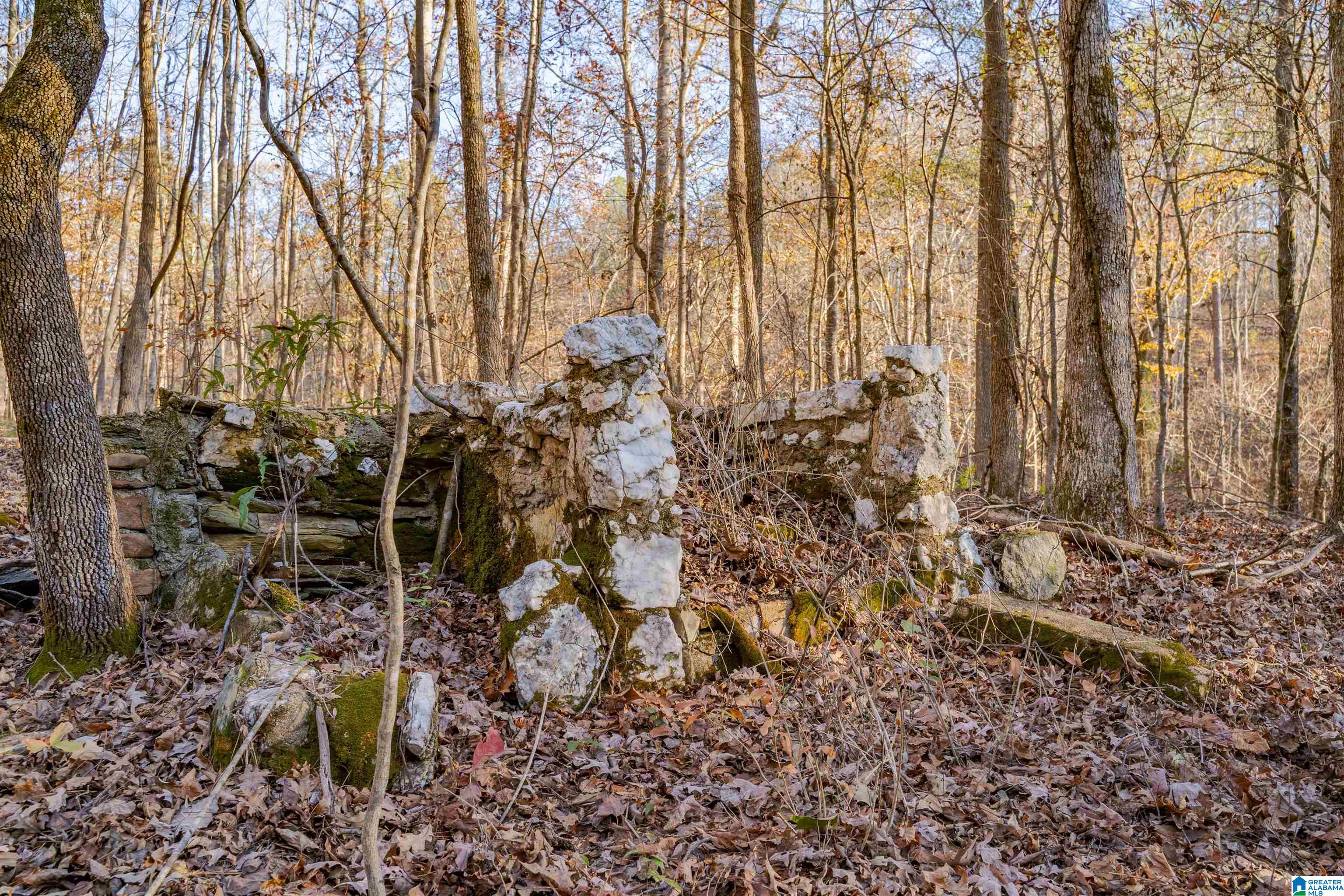 4245 Union T Road Talladega, AL 35160 - Photo 86 of 87