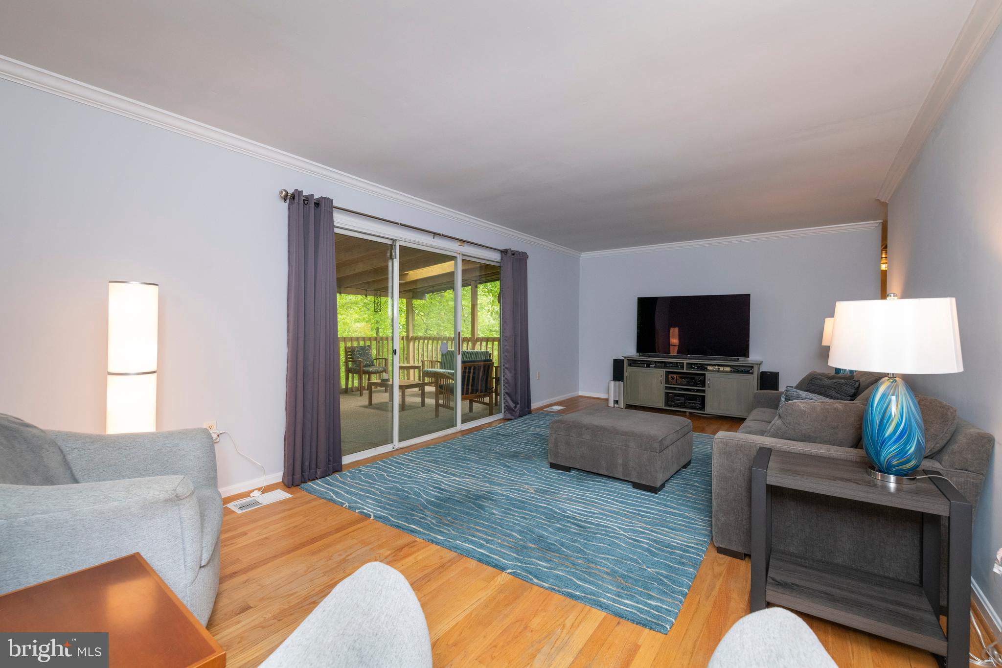 12262 Etchison Road Ellicott City, MD 21042 - Photo 16 of 47 Living Room