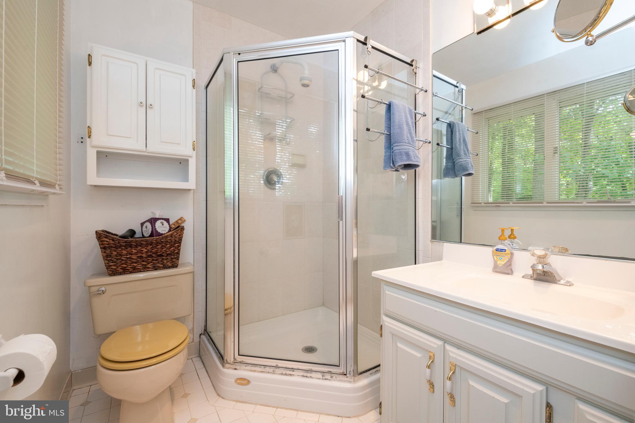 12262 Etchison Road Ellicott City, MD 21042 - Photo 23 of 47 En Suite Bathroom to Owner's bedroom