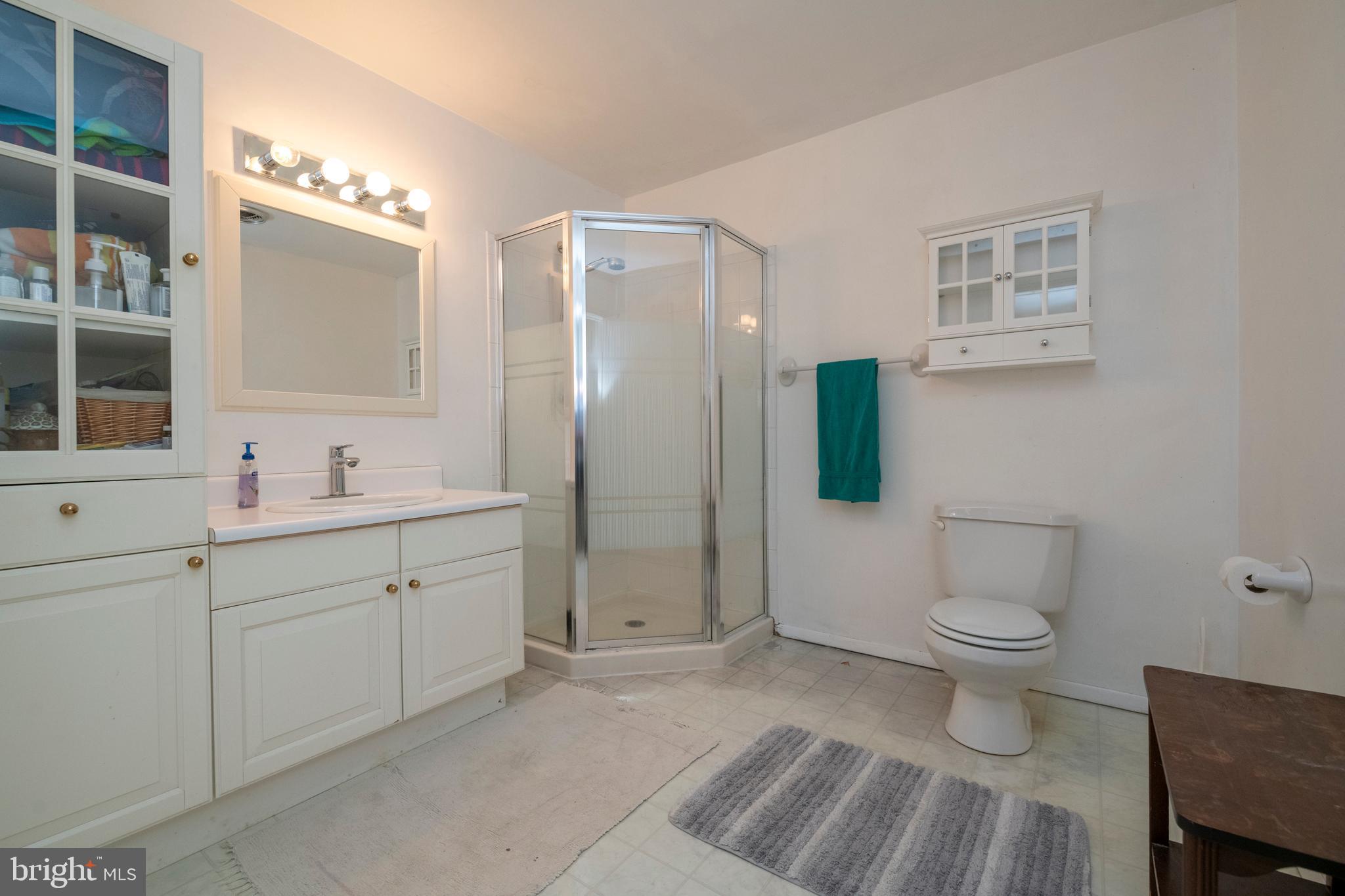 12262 Etchison Road Ellicott City, MD 21042 - Photo 34 of 47 Lower Level Full Bath