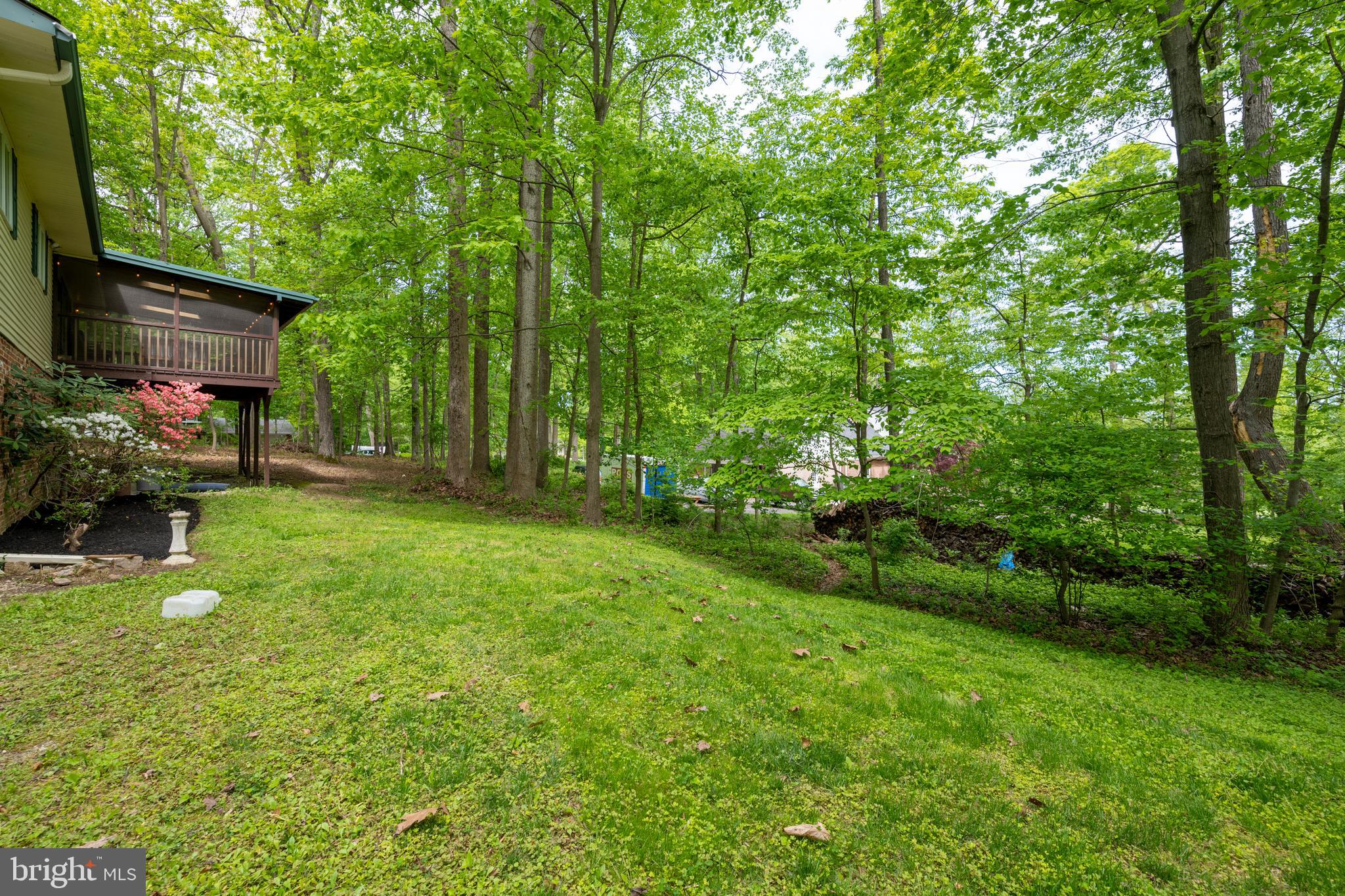 12262 Etchison Road Ellicott City, MD 21042 - Photo 41 of 47 Back yard