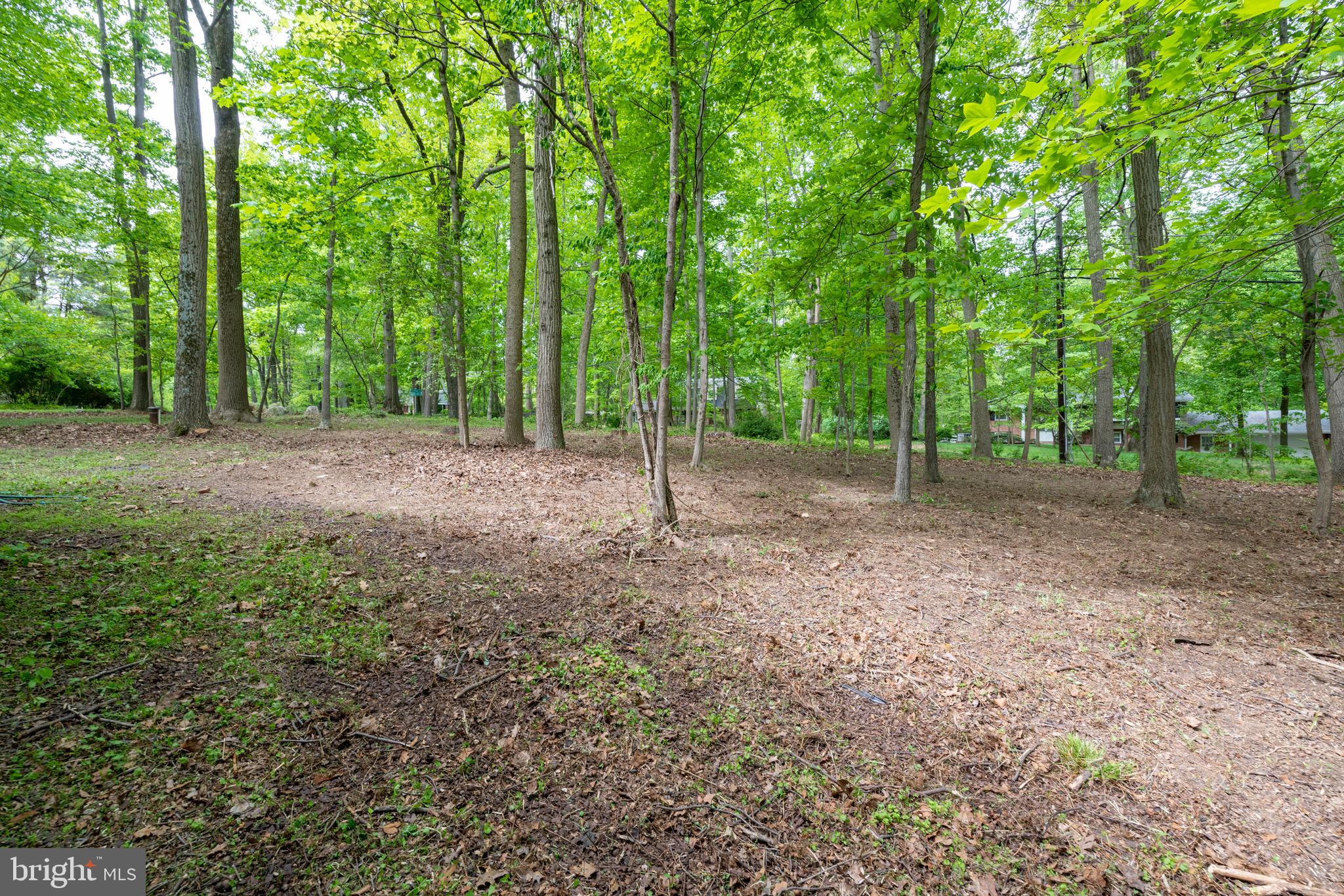 12262 Etchison Road Ellicott City, MD 21042 - Photo 47 of 47 Side Yard
