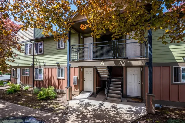 a view of a park with slide