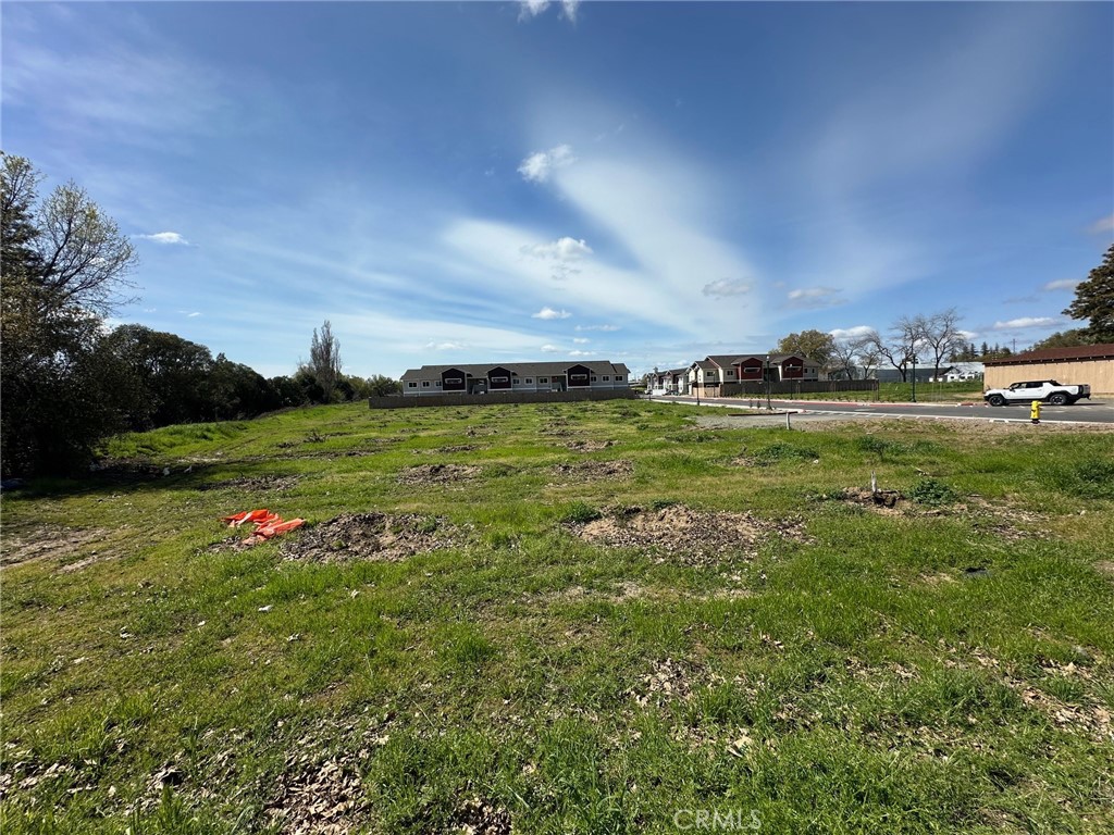 1425 Highway 99 Gridley, CA 95948 - Photo 13 of 15