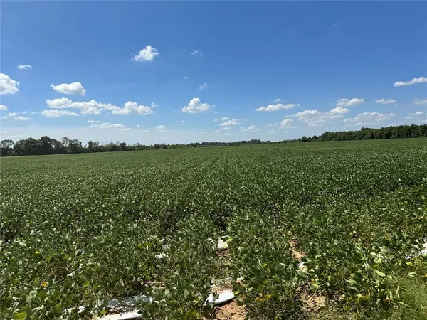 a view of a golf course with green space