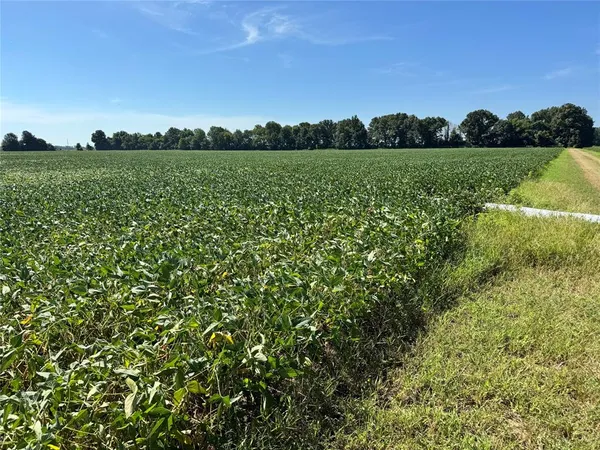 a view of a green field with lots of green space