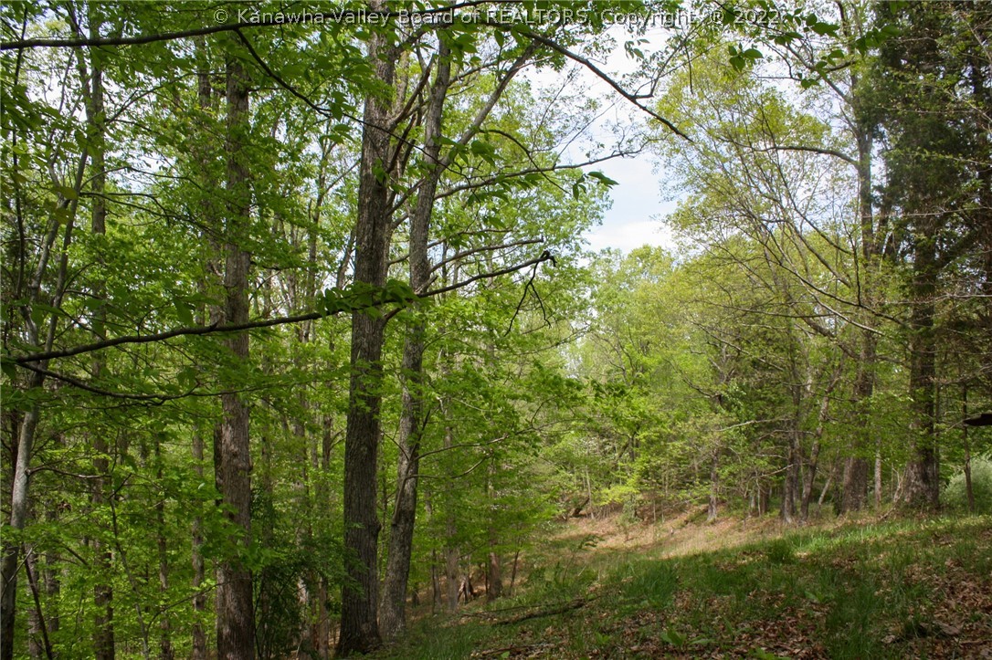 0 Shatto Road Ripley, WV 25271 - Photo 8 of 9 Gallery Image 8